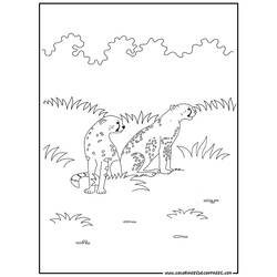 Dibujo para colorear: Guepardo (Animales) #7881 - Dibujos para Colorear e Imprimir Gratis