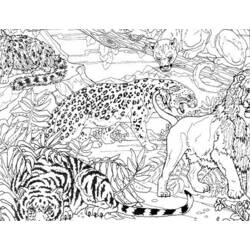 Dibujo para colorear: Guepardo (Animales) #7885 - Dibujos para Colorear e Imprimir Gratis