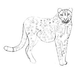 Dibujo para colorear: Guepardo (Animales) #7898 - Dibujos para Colorear e Imprimir Gratis