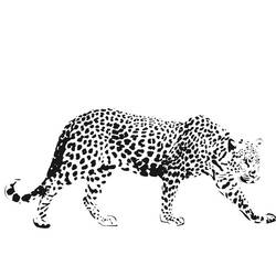 Dibujo para colorear: Guepardo (Animales) #7901 - Dibujos para Colorear e Imprimir Gratis