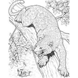 Dibujo para colorear: Guepardo (Animales) #7919 - Dibujos para Colorear e Imprimir Gratis