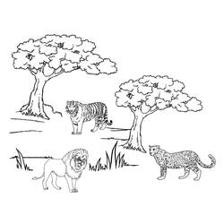 Dibujo para colorear: Guepardo (Animales) #8005 - Dibujos para Colorear e Imprimir Gratis