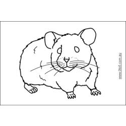 Dibujo para colorear: Hámster (Animales) #8103 - Dibujos para Colorear e Imprimir Gratis