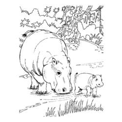Dibujo para colorear: Hipopótamo (Animales) #8611 - Dibujos para Colorear e Imprimir Gratis