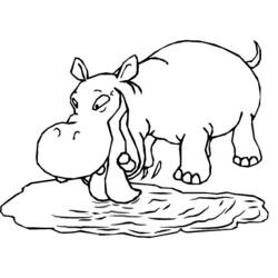 Dibujo para colorear: Hipopótamo (Animales) #8619 - Dibujos para Colorear e Imprimir Gratis