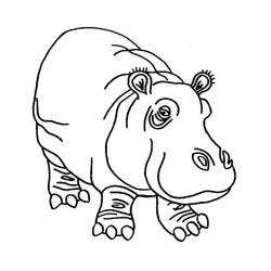 Dibujo para colorear: Hipopótamo (Animales) #8726 - Dibujos para Colorear e Imprimir Gratis