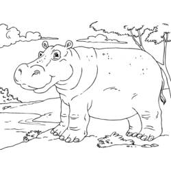 Dibujo para colorear: Hipopótamo (Animales) #8735 - Dibujos para Colorear e Imprimir Gratis