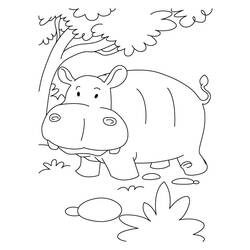 Dibujo para colorear: Hipopótamo (Animales) #8738 - Dibujos para Colorear e Imprimir Gratis