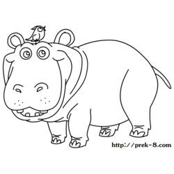 Dibujo para colorear: Hipopótamo (Animales) #8760 - Dibujos para Colorear e Imprimir Gratis