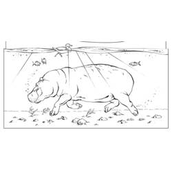 Dibujo para colorear: Hipopótamo (Animales) #8766 - Dibujos para Colorear e Imprimir Gratis