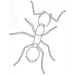 Dibujo para colorear: Hormiga (Animales) #6921 - Dibujos para Colorear e Imprimir Gratis