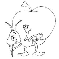 Dibujo para colorear: Hormiga (Animales) #6944 - Dibujos para Colorear e Imprimir Gratis