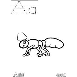 Dibujo para colorear: Hormiga (Animales) #6946 - Dibujos para Colorear e Imprimir Gratis