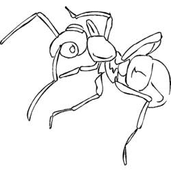Dibujo para colorear: Hormiga (Animales) #6961 - Dibujos para Colorear e Imprimir Gratis