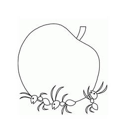 Dibujo para colorear: Hormiga (Animales) #6964 - Dibujos para Colorear e Imprimir Gratis