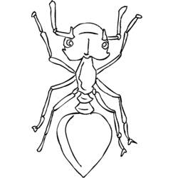 Dibujo para colorear: Hormiga (Animales) #6965 - Dibujos para Colorear e Imprimir Gratis