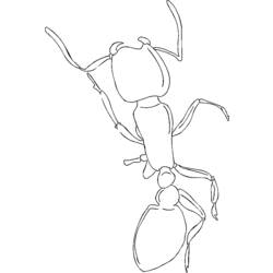 Dibujo para colorear: Hormiga (Animales) #6984 - Dibujos para Colorear e Imprimir Gratis
