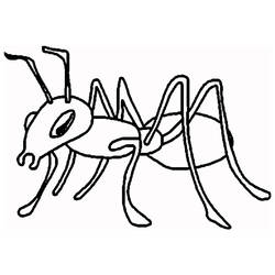 Dibujos para colorear: Hormiga - Dibujos para Colorear e Imprimir Gratis