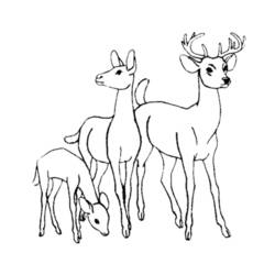 Dibujo para colorear: Hueva (Animales) #2563 - Dibujos para Colorear e Imprimir Gratis