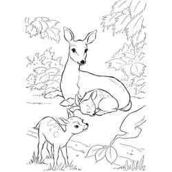 Dibujo para colorear: Hueva (Animales) #2565 - Dibujos para Colorear e Imprimir Gratis