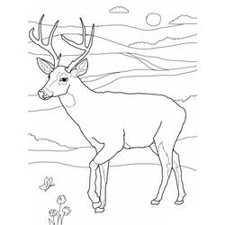 Dibujo para colorear: Hueva (Animales) #2568 - Dibujos para Colorear e Imprimir Gratis