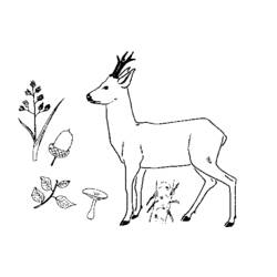 Dibujo para colorear: Hueva (Animales) #2569 - Dibujos para Colorear e Imprimir Gratis