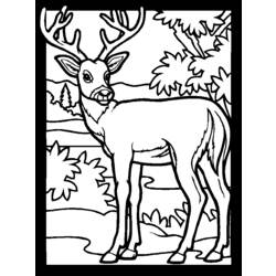 Dibujo para colorear: Hueva (Animales) #2577 - Dibujos para Colorear e Imprimir Gratis