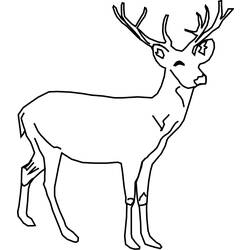 Dibujo para colorear: Hueva (Animales) #2582 - Dibujos para Colorear e Imprimir Gratis