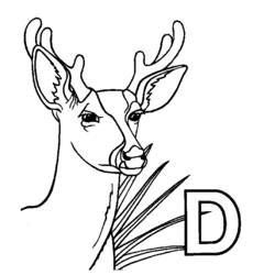 Dibujo para colorear: Hueva (Animales) #2588 - Dibujos para Colorear e Imprimir Gratis