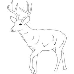 Dibujo para colorear: Hueva (Animales) #2591 - Dibujos para Colorear e Imprimir Gratis