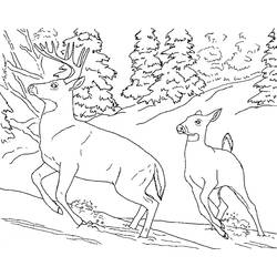 Dibujo para colorear: Hueva (Animales) #2593 - Dibujos para Colorear e Imprimir Gratis