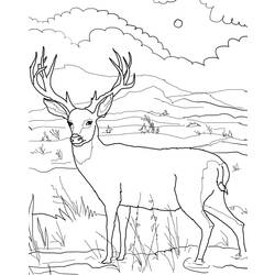 Dibujo para colorear: Hueva (Animales) #2629 - Dibujos para Colorear e Imprimir Gratis