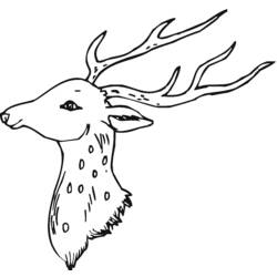 Dibujo para colorear: Hueva (Animales) #2633 - Dibujos para Colorear e Imprimir Gratis
