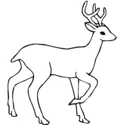 Dibujo para colorear: Hueva (Animales) #2645 - Dibujos para Colorear e Imprimir Gratis