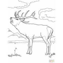 Dibujo para colorear: Hueva (Animales) #2653 - Dibujos para Colorear e Imprimir Gratis