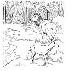 Dibujo para colorear: Hueva (Animales) #2661 - Dibujos para Colorear e Imprimir Gratis