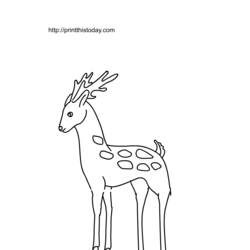 Dibujo para colorear: Hueva (Animales) #2672 - Dibujos para Colorear e Imprimir Gratis