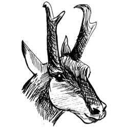 Dibujo para colorear: Hueva (Animales) #2701 - Dibujos para Colorear e Imprimir Gratis