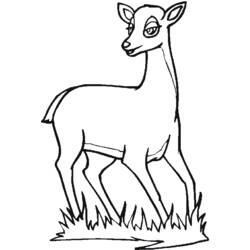 Dibujo para colorear: Hueva (Animales) #2713 - Dibujos para Colorear e Imprimir Gratis