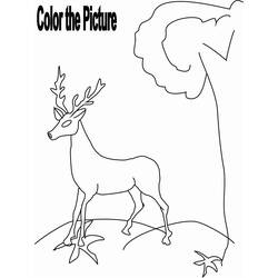 Dibujo para colorear: Hueva (Animales) #2725 - Dibujos para Colorear e Imprimir Gratis
