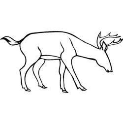 Dibujo para colorear: Hueva (Animales) #2739 - Dibujos para Colorear e Imprimir Gratis