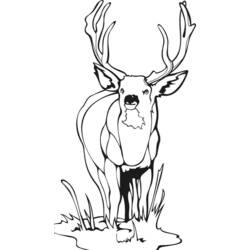 Dibujo para colorear: Hueva (Animales) #2750 - Dibujos para Colorear e Imprimir Gratis