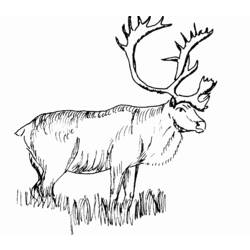 Dibujo para colorear: Hueva (Animales) #2756 - Dibujos para Colorear e Imprimir Gratis