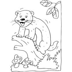 Dibujo para colorear: Hurón (Animales) #7128 - Dibujos para Colorear e Imprimir Gratis