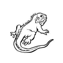 Dibujo para colorear: Iguana (Animales) #8910 - Dibujos para Colorear e Imprimir Gratis