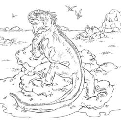 Dibujo para colorear: Iguana (Animales) #8913 - Dibujos para Colorear e Imprimir Gratis