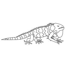 Dibujo para colorear: Iguana (Animales) #8914 - Dibujos para Colorear e Imprimir Gratis