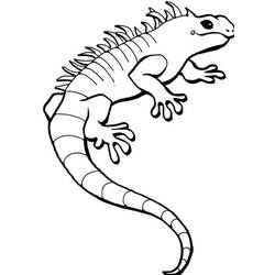 Dibujo para colorear: Iguana (Animales) #8915 - Dibujos para Colorear e Imprimir Gratis