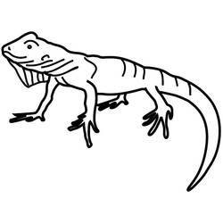 Dibujo para colorear: Iguana (Animales) #8944 - Dibujos para Colorear e Imprimir Gratis