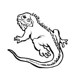 Dibujo para colorear: Iguana (Animales) #8948 - Dibujos para Colorear e Imprimir Gratis